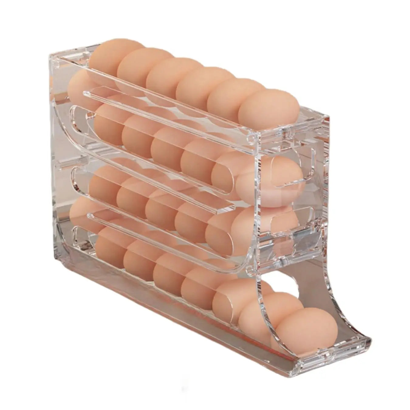 Refrigerator Egg Storage